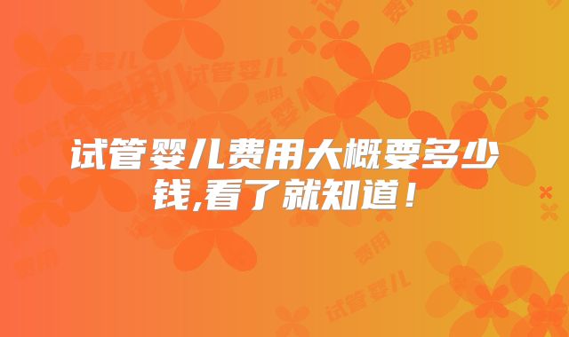 试管婴儿费用大概要多少钱,看了就知道!