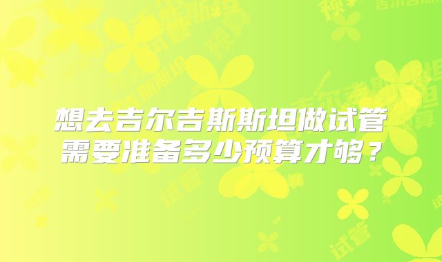 想去吉尔吉斯斯坦做试管需要准备多少预算才够?