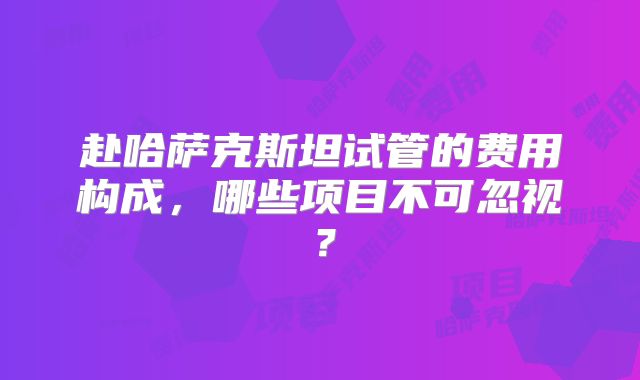 赴哈萨克斯坦试管的费用构成，哪些项目不可忽视？