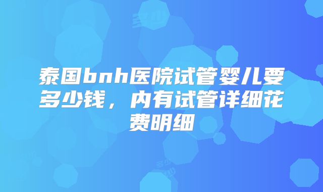 泰国bnh医院试管婴儿要多少钱，内有试管详细花费明细