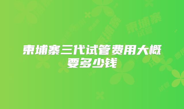 柬埔寨三代试管费用大概要多少钱