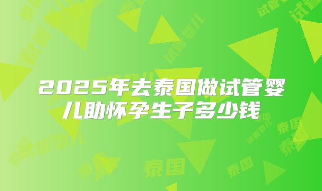 2025年去泰国做试管婴儿助怀孕生子多少钱
