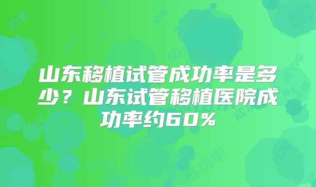 山东移植试管成功率是多少？山东试管移植医院成功率约60%