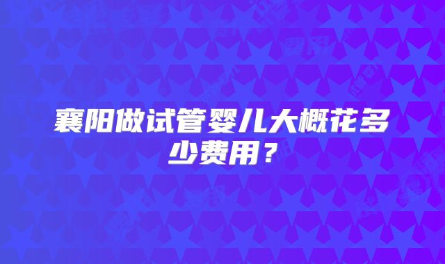 襄阳做试管婴儿大概花多少费用?