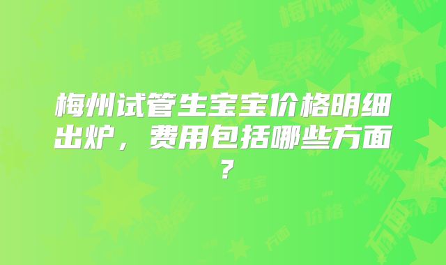 梅州试管生宝宝价格明细出炉，费用包括哪些方面？