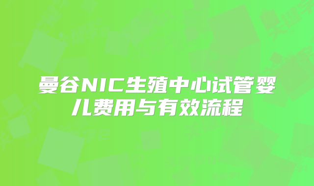 曼谷NIC生殖中心试管婴儿费用与有效流程