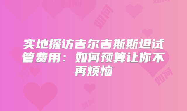 实地探访吉尔吉斯斯坦试管费用:如何预算让你不再烦恼