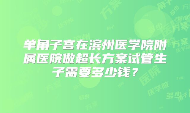 单角子宫在滨州医学院附属医院做超长方案试管生子需要多少钱?