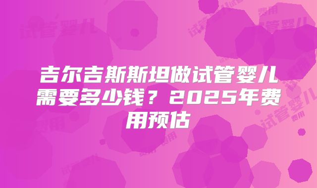吉尔吉斯斯坦做试管婴儿需要多少钱？2025年费用预估