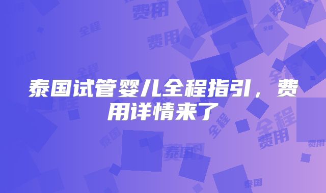 泰国试管婴儿全程指引,费用详情来了