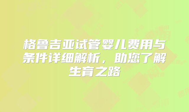 格鲁吉亚试管婴儿费用与条件详细解析，助您了解生育之路