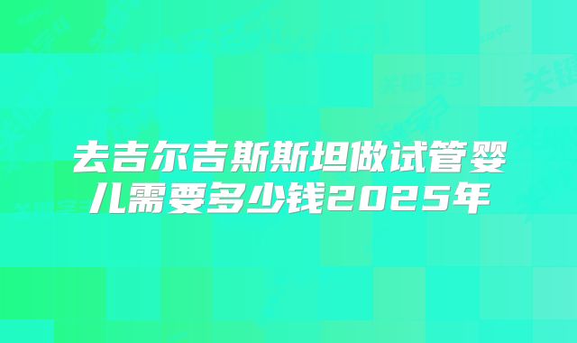 去吉尔吉斯斯坦做试管婴儿需要多少钱2025年