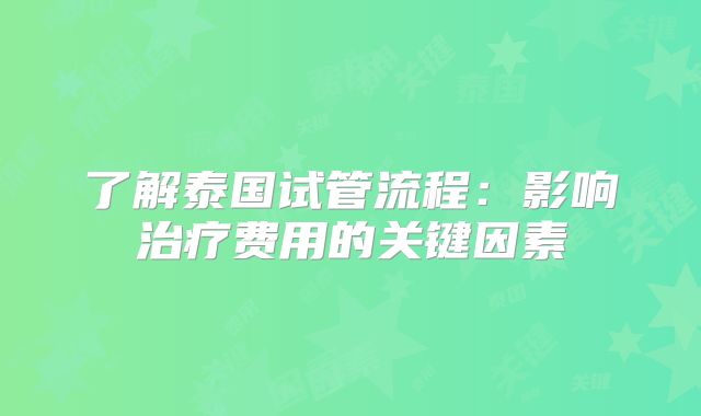 了解泰国试管流程：影响治疗费用的关键因素