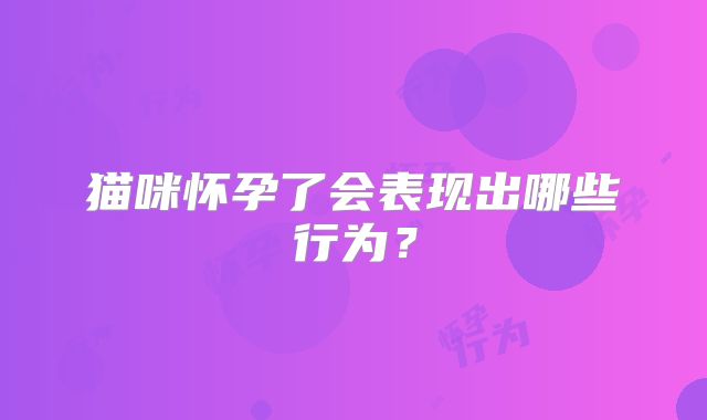 猫咪怀孕了会表现出哪些行为？