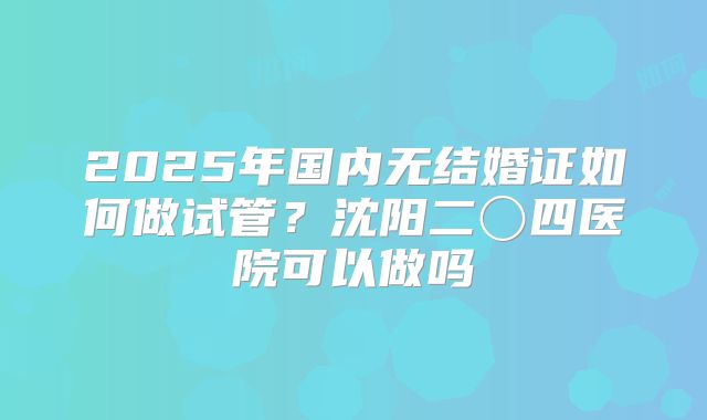 2025年国内无结婚证如何做试管？沈阳二〇四医院可以做吗
