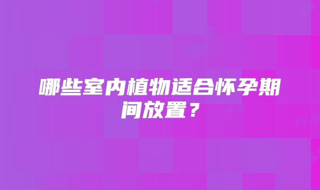 哪些室内植物适合怀孕期间放置？