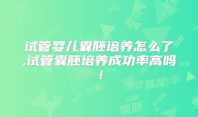 试管婴儿囊胚培养怎么了,试管囊胚培养成功率高吗！