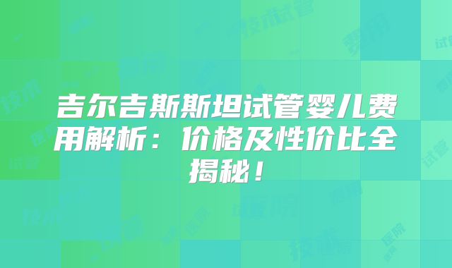 吉尔吉斯斯坦试管婴儿费用解析：价格及性价比全揭秘！