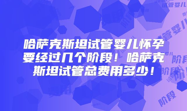 哈萨克斯坦试管婴儿怀孕要经过几个阶段！哈萨克斯坦试管总费用多少！