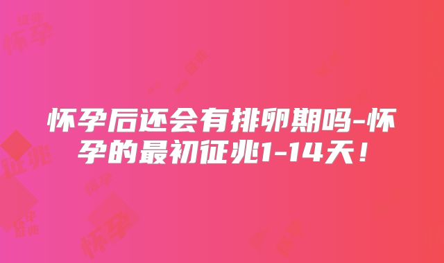 怀孕后还会有排卵期吗-怀孕的最初征兆1-14天！