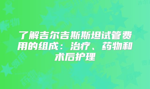 了解吉尔吉斯斯坦试管费用的组成：治疗、药物和术后护理