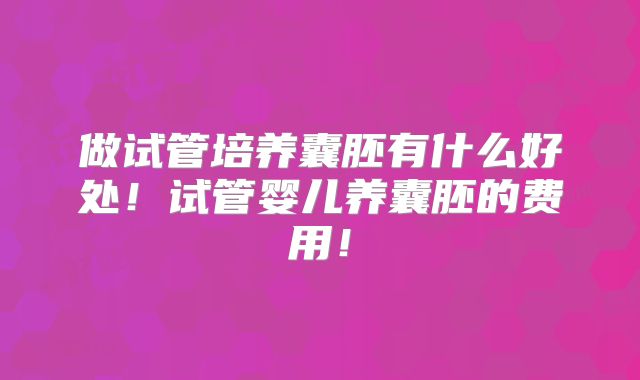 做试管培养囊胚有什么好处！试管婴儿养囊胚的费用！