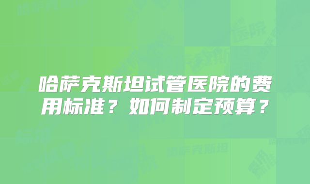 哈萨克斯坦试管医院的费用标准？如何制定预算？
