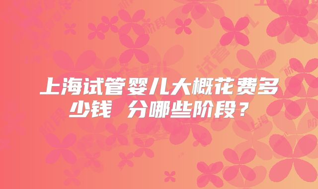 上海试管婴儿大概花费多少钱 分哪些阶段？
