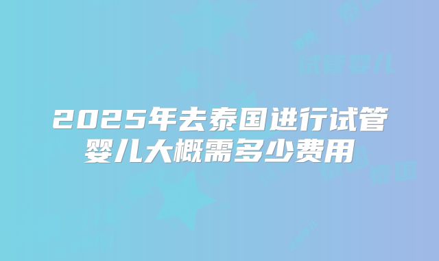 2025年去泰国进行试管婴儿大概需多少费用