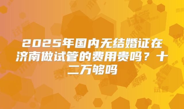 2025年国内无结婚证在济南做试管的费用贵吗？十二万够吗