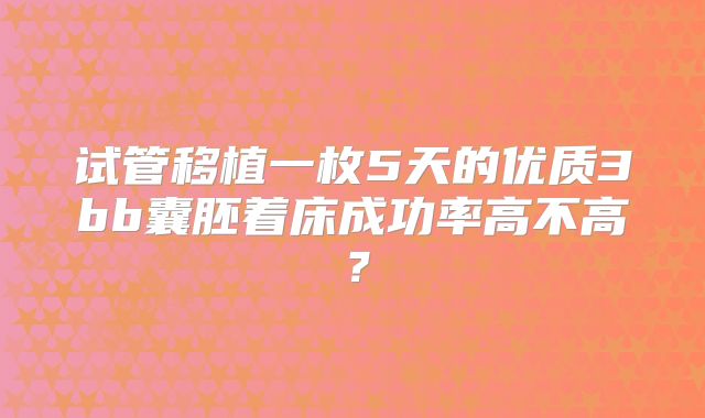 试管移植一枚5天的优质3bb囊胚着床成功率高不高?