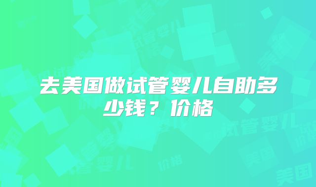 去美国做试管婴儿自助多少钱？价格