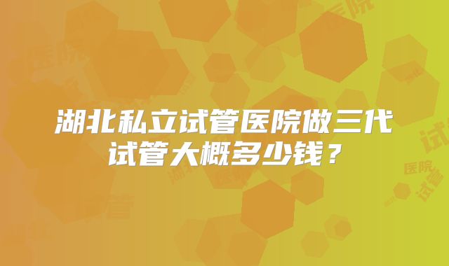 湖北私立试管医院做三代试管大概多少钱？