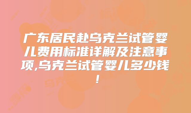 广东居民赴乌克兰试管婴儿费用标准详解及注意事项,乌克兰试管婴儿多少钱！
