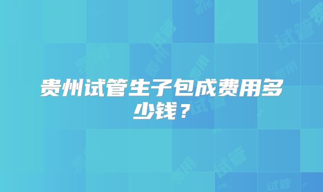 贵州试管生子包成费用多少钱？