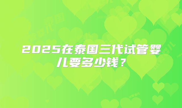 2025在泰国三代试管婴儿要多少钱？