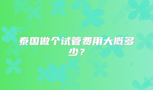 泰国做个试管费用大概多少？