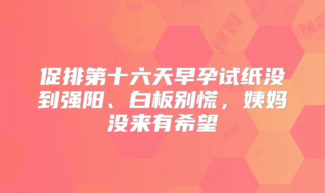 促排第十六天早孕试纸没到强阳、白板别慌,姨妈没来有希望