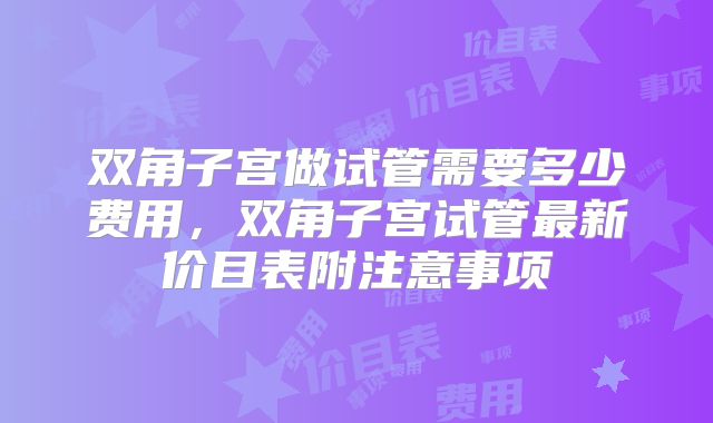 双角子宫做试管需要多少费用,双角子宫试管最新价目表附注意事项