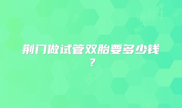 荆门做试管双胎要多少钱？
