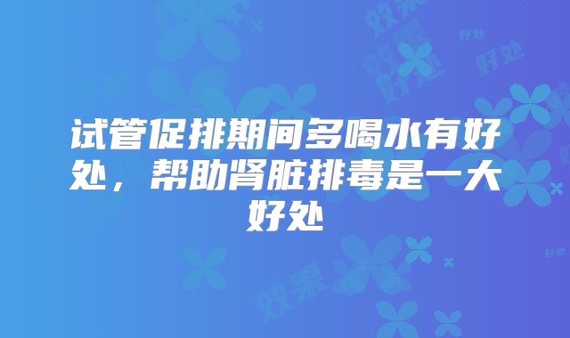 试管促排期间多喝水有好处，帮助肾脏排毒是一大好处