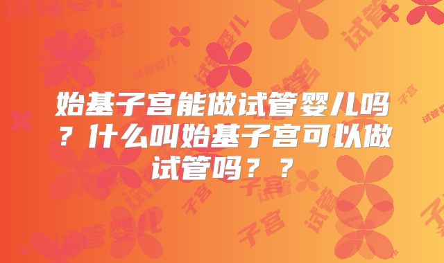 始基子宫能做试管婴儿吗？什么叫始基子宫可以做试管吗？？
