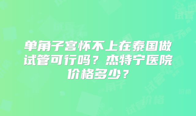 单角子宫怀不上在泰国做试管可行吗？杰特宁医院价格多少？