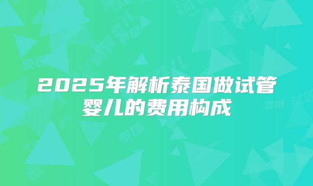 2025年解析泰国做试管婴儿的费用构成