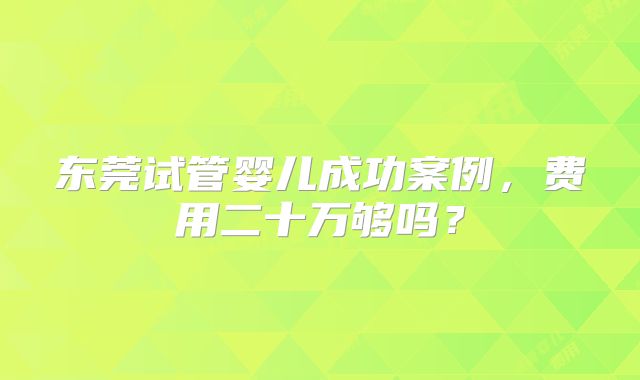 东莞试管婴儿成功案例，费用二十万够吗？