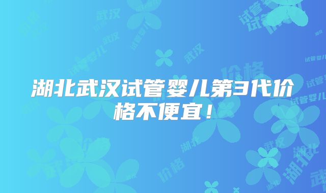 湖北武汉试管婴儿第3代价格不便宜!