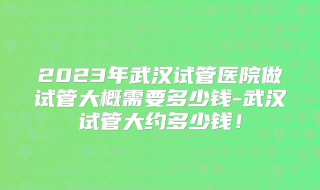 2023年武汉试管医院做试管大概需要多少钱-武汉试管大约多少钱！