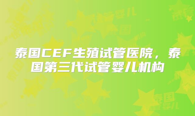 泰国CEF生殖试管医院，泰国第三代试管婴儿机构