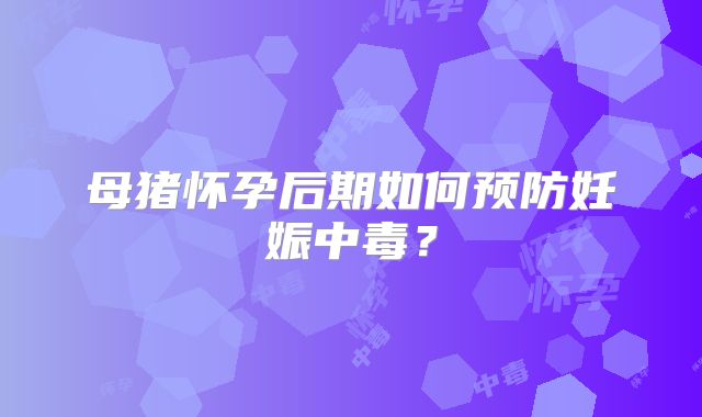 母猪怀孕后期如何预防妊娠中毒？