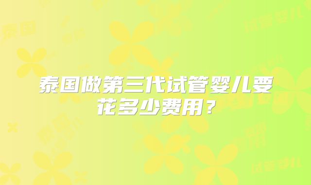 泰国做第三代试管婴儿要花多少费用？